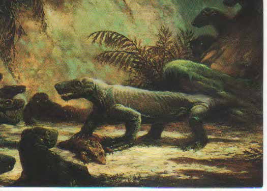 Thrinaxodons