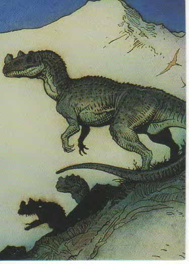 Ceratosaurus